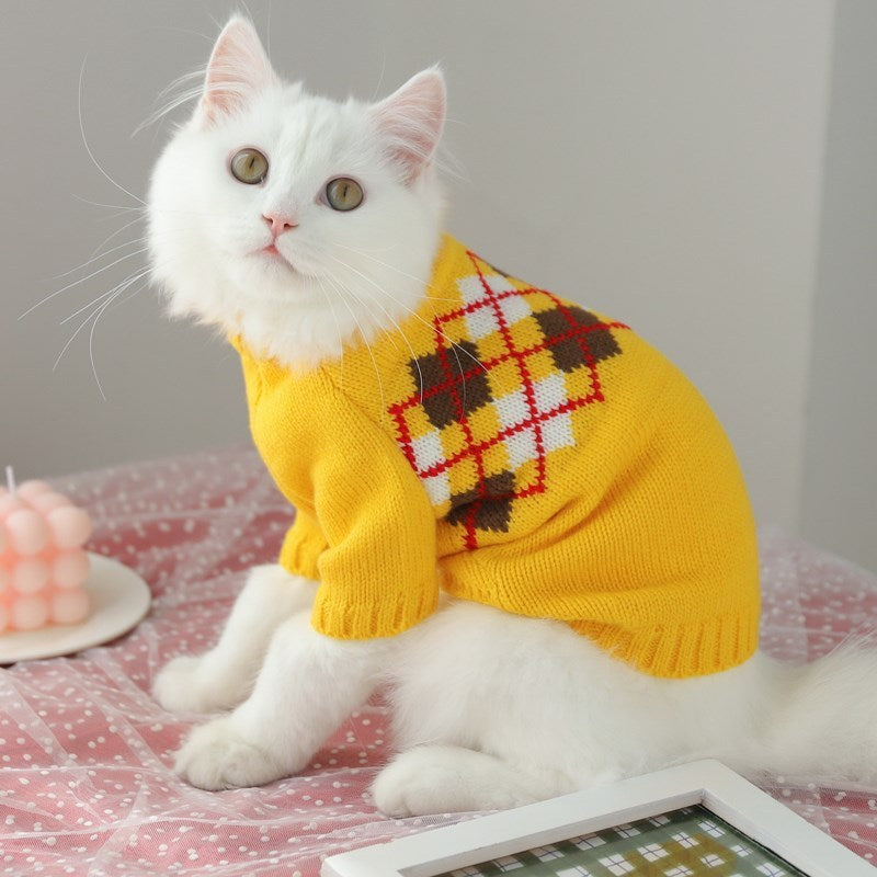 Fall Prevention Kitten Autumn Sweater