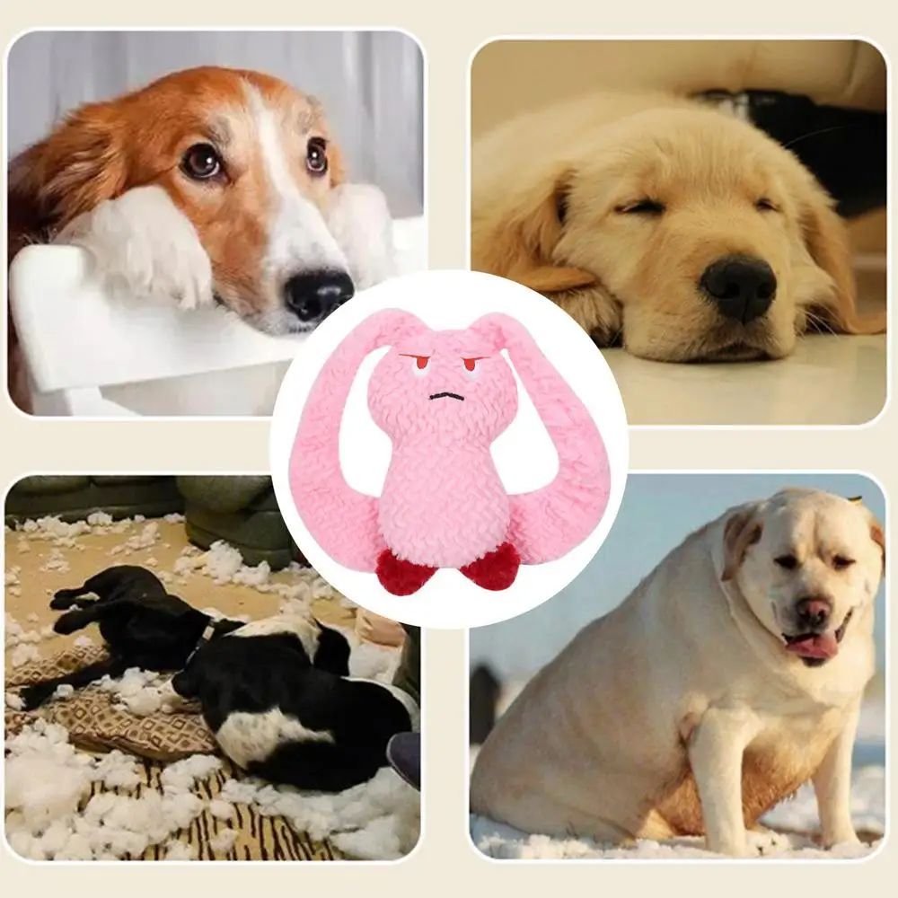 Squeaky Pet Plush Chew Toy