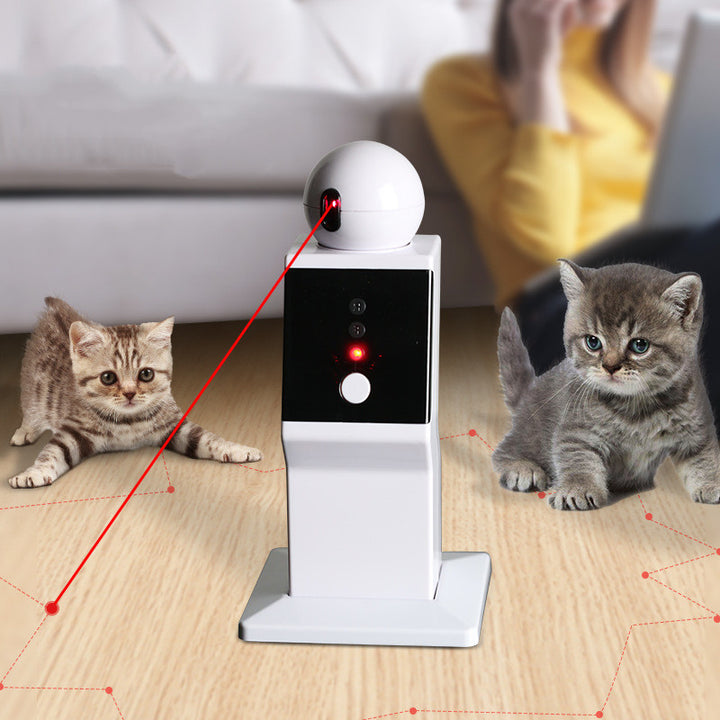 Amusing Cat With Smart Toys