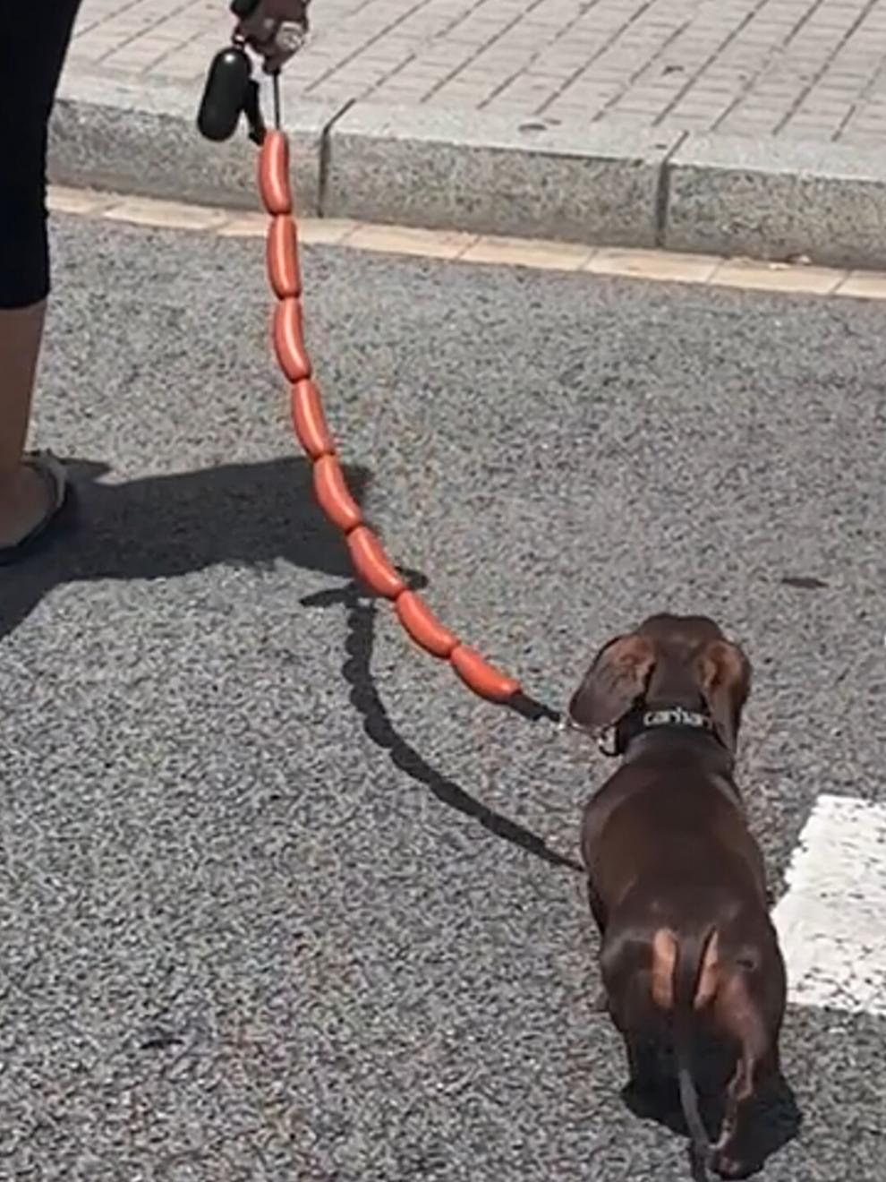 Dog Traction Chain Big Sausages