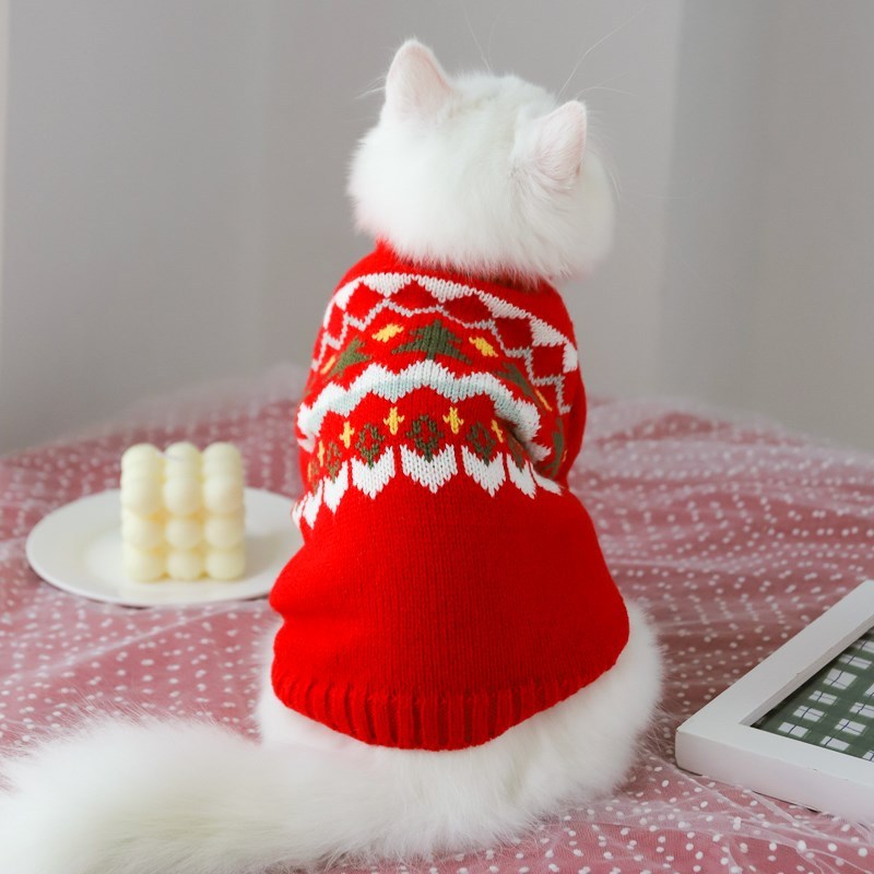 Fall Prevention Kitten Autumn Sweater