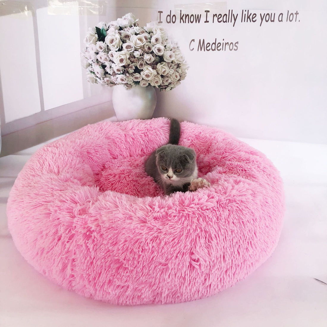 Small Dogs Round Plush Beds